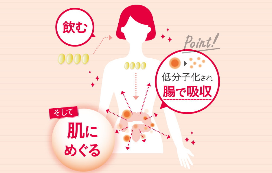 ぷるんっ！と弾む肌へ！高純度ヒアルロン酸